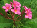 1-IMG_5275