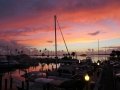 1-IMG_5423