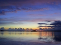 1-IMG_5435