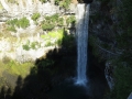 1-IMG_4875