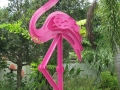 1-IMG_5781