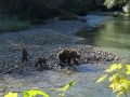 1-IMG_3938