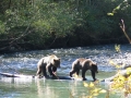 1-IMG_3987