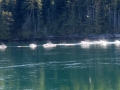 1-IMG_4013