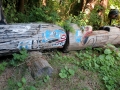 1-IMG_4059