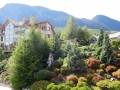 1-IMG_4164