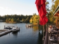 1-IMG_4384