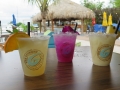 1-IMG_5250