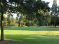 1-IMG_4964