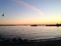 photo(6)