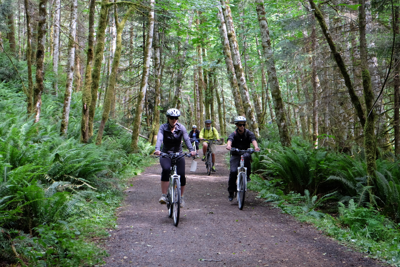 Natural Wonders On The Galloping Goose Trail In B.C.